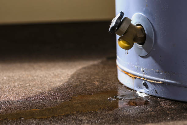 Best Emergency water damage restoration  in Newhall, IA