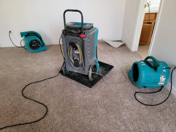 Best Mold removal after water damage  in Newhall, IA