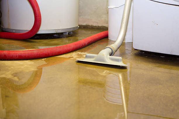 Best Water damage restoration insurance claims  in Newhall, IA