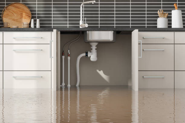 Best Flood damage cleanup  in Newhall, IA