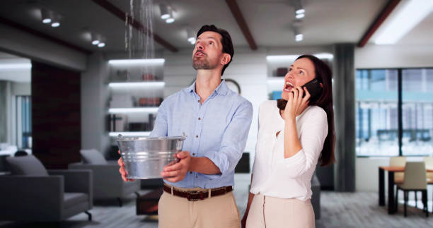 Best 24-hour water damage restoration  in Newhall, IA