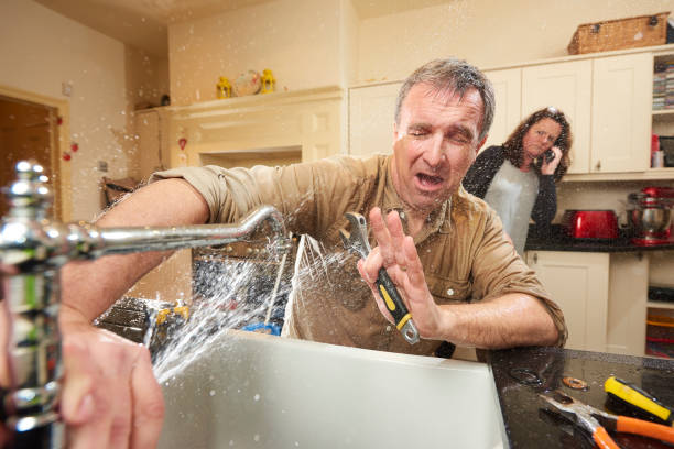 Best Water damage restoration experts  in Newhall, IA